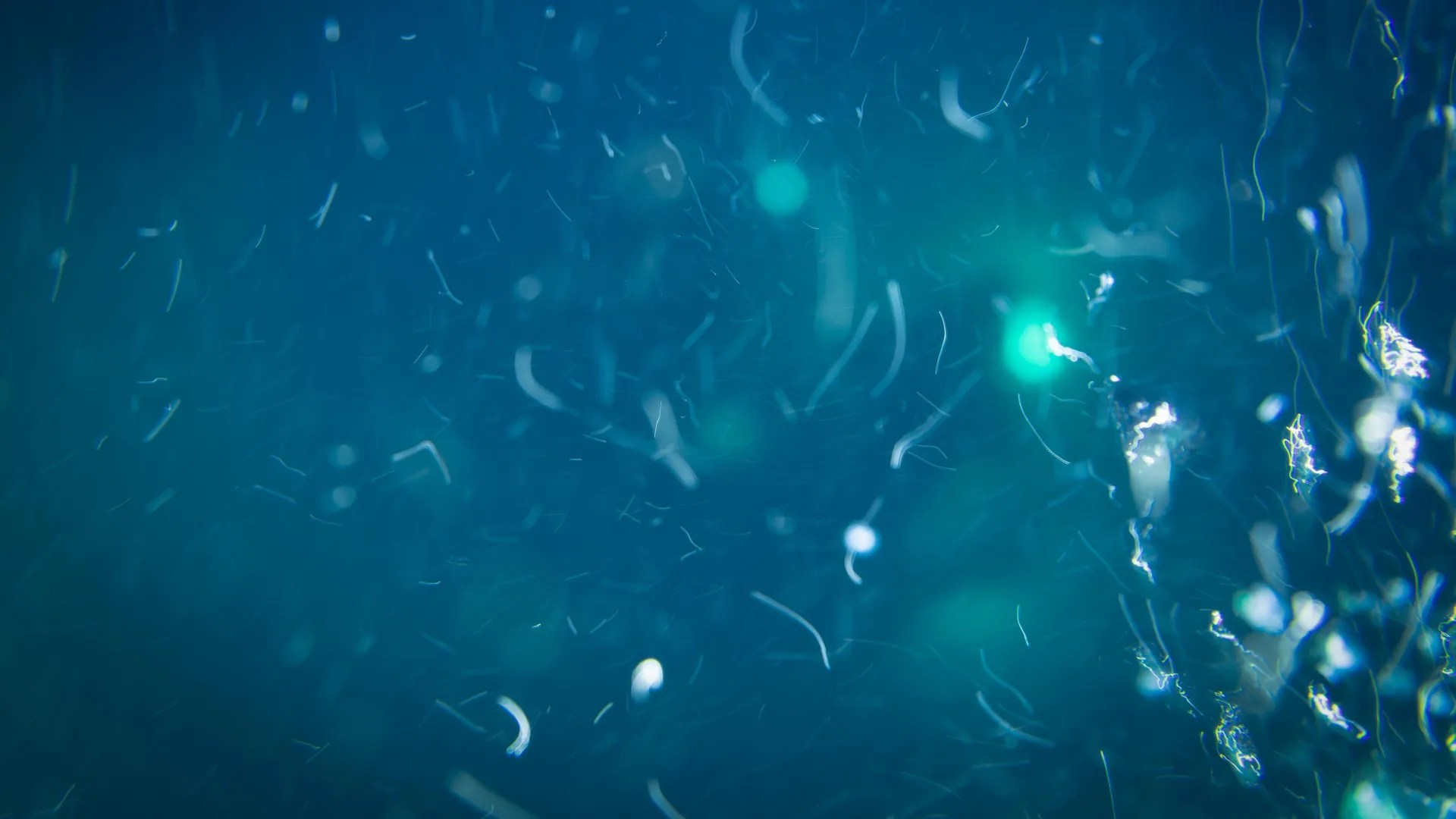 Deep Ocean Secrets: Unlocking Nutrients for Microbes (2026)