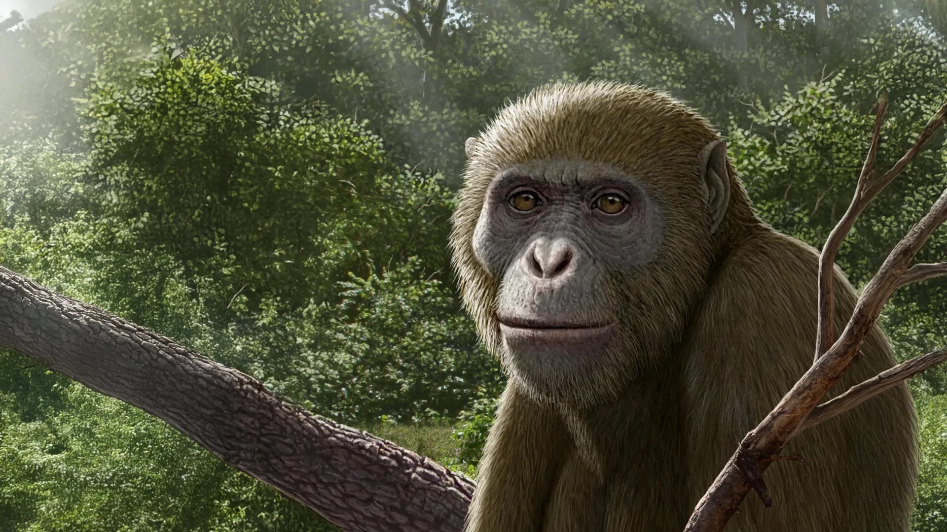 Uncovering the Ancient Ape Mystery: A New Fossil Challenges Human Origins (2026)