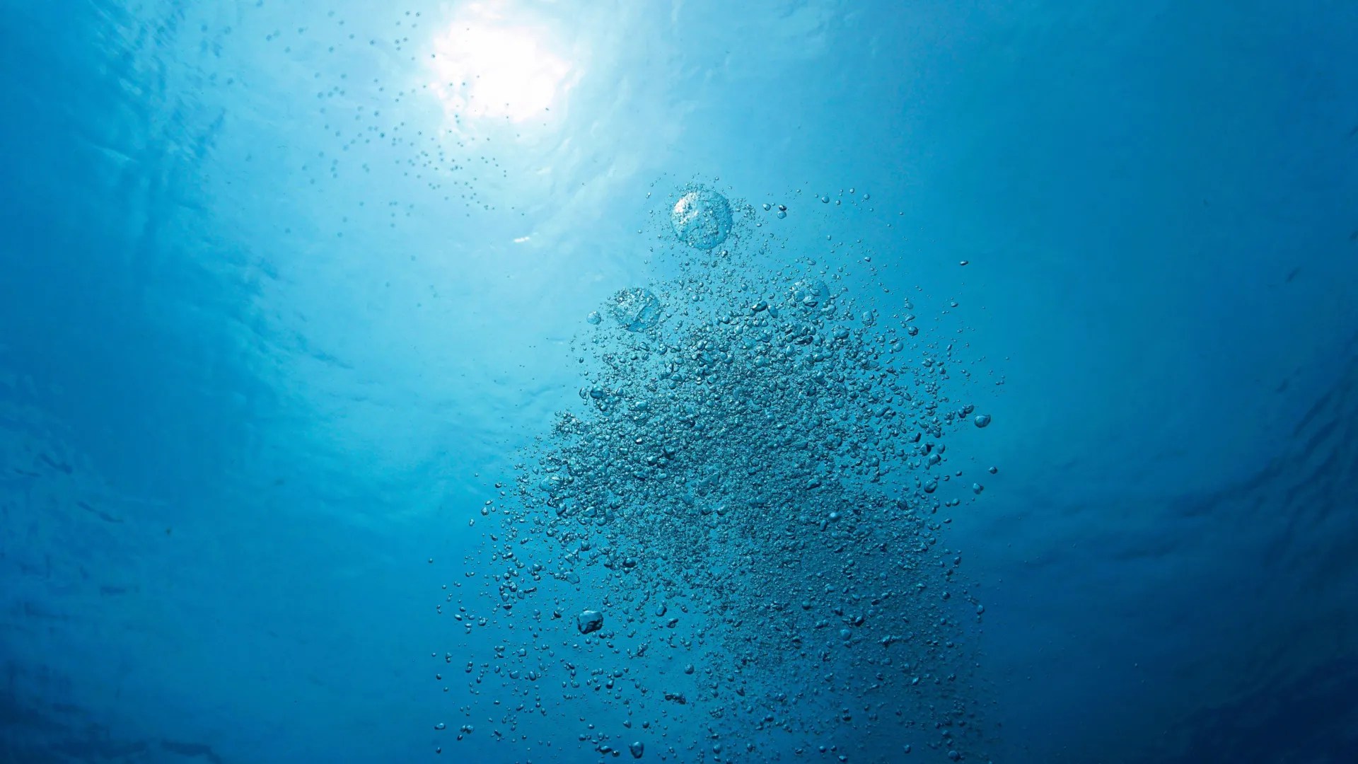 Earth's Oxygen Crisis: How Our Oceans and Freshwaters Are Changing (2026)