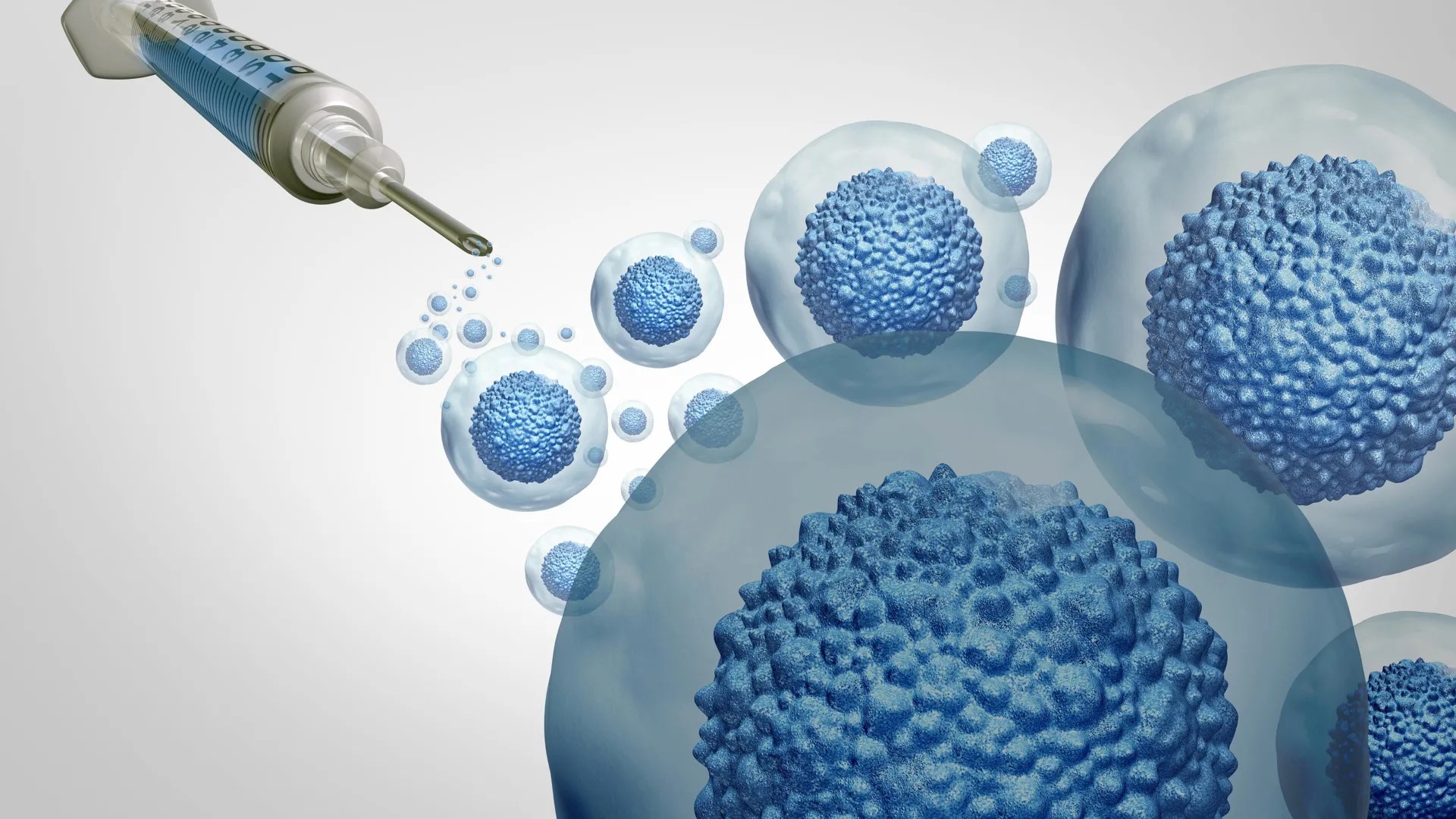 Stanford Breakthrough: Safer Stem Cell Transplants Without Chemo for Fanconi Anemia (2025)