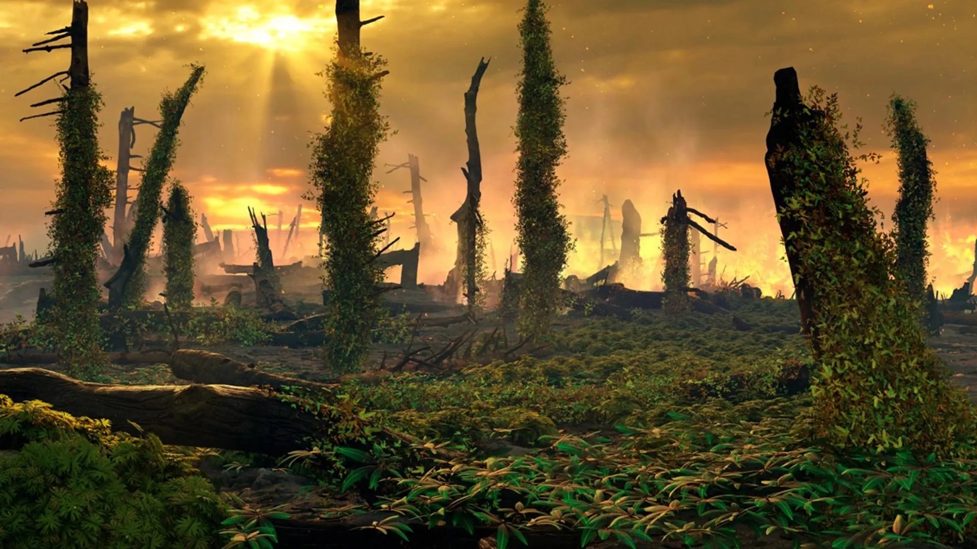 Ancient Ferns and Wildfires: How Triassic Europe Became a Fire Inferno (2026)