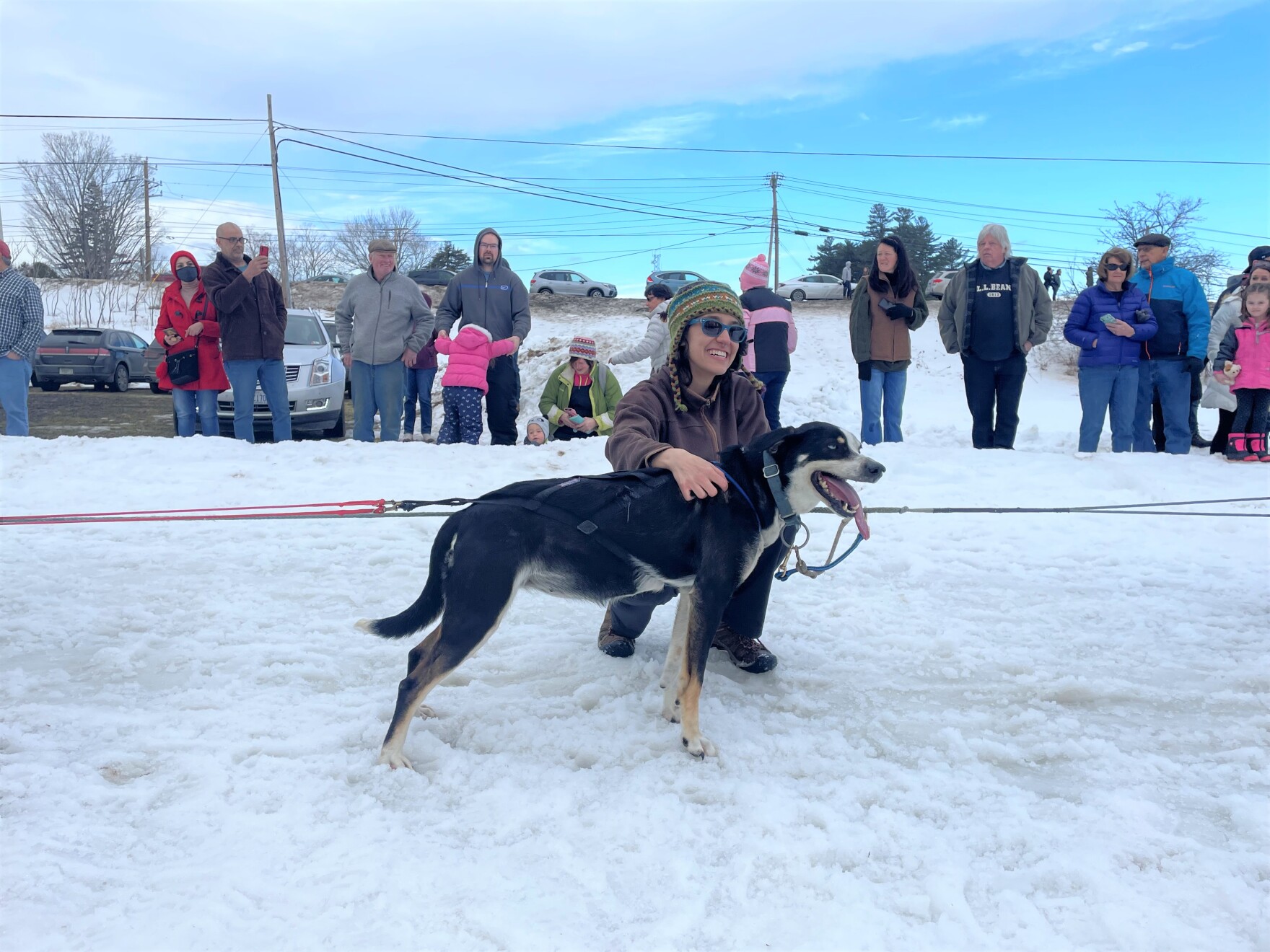 Store manager andy fisher said: Climate Change Ruins The World Championship Sled Dog Derby