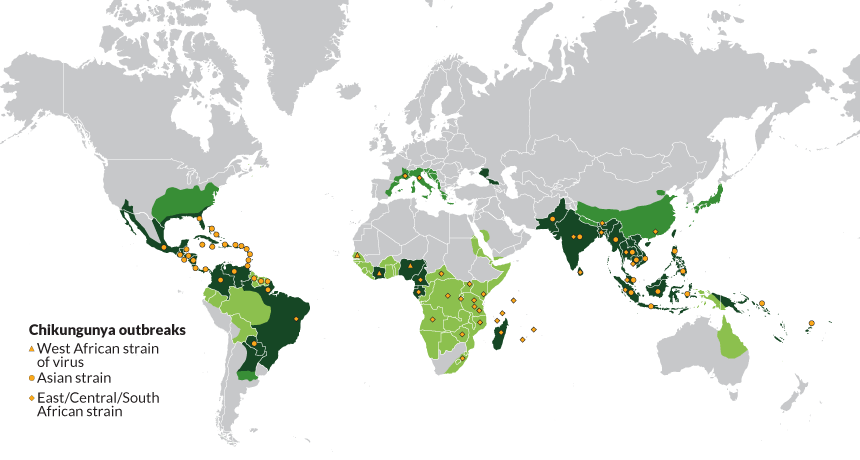 Map of chikungunya outbreaks and mosquito ranges