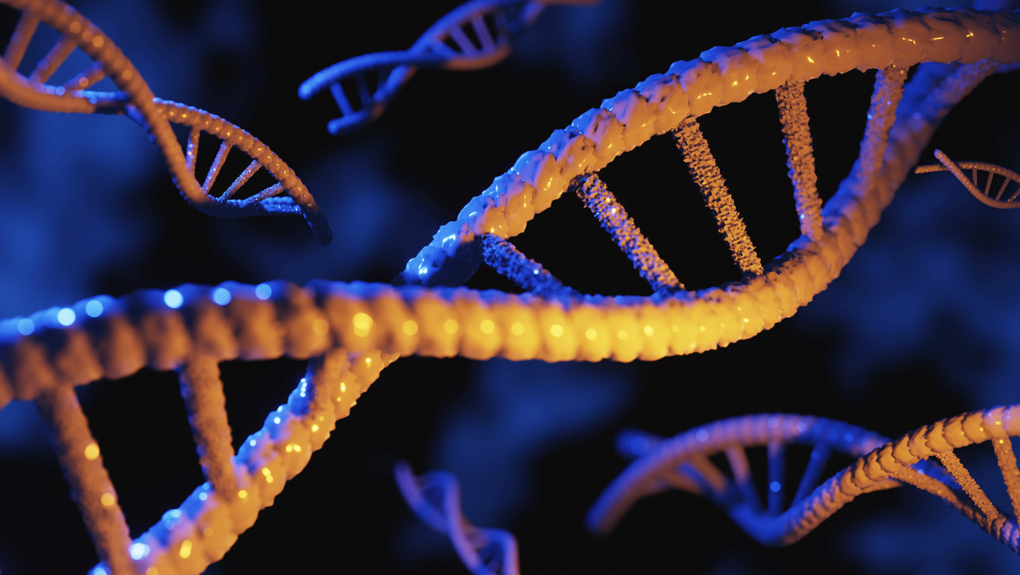 An illustration of multiple DNA helices are shown scattered around a blue background. Light seems to reflect off the helices, giving them a plastic, artificial shine.
