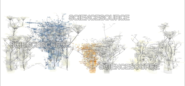 Website Source Code Visualization Stock Image Science Source Images - Stunning 4K Vintage Arts | Free Download