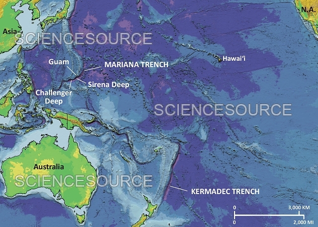 Mariana Trench Diagram 756x984 2158367 Mariana Trench Map 
