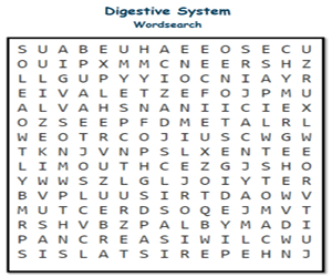 Look at the labels of organs in the . Digestive System Scoilnet