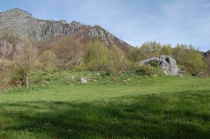 DSC_0018 DSC_0018