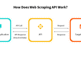 Benefits Of Using Custom Api For Web Scraping In Business