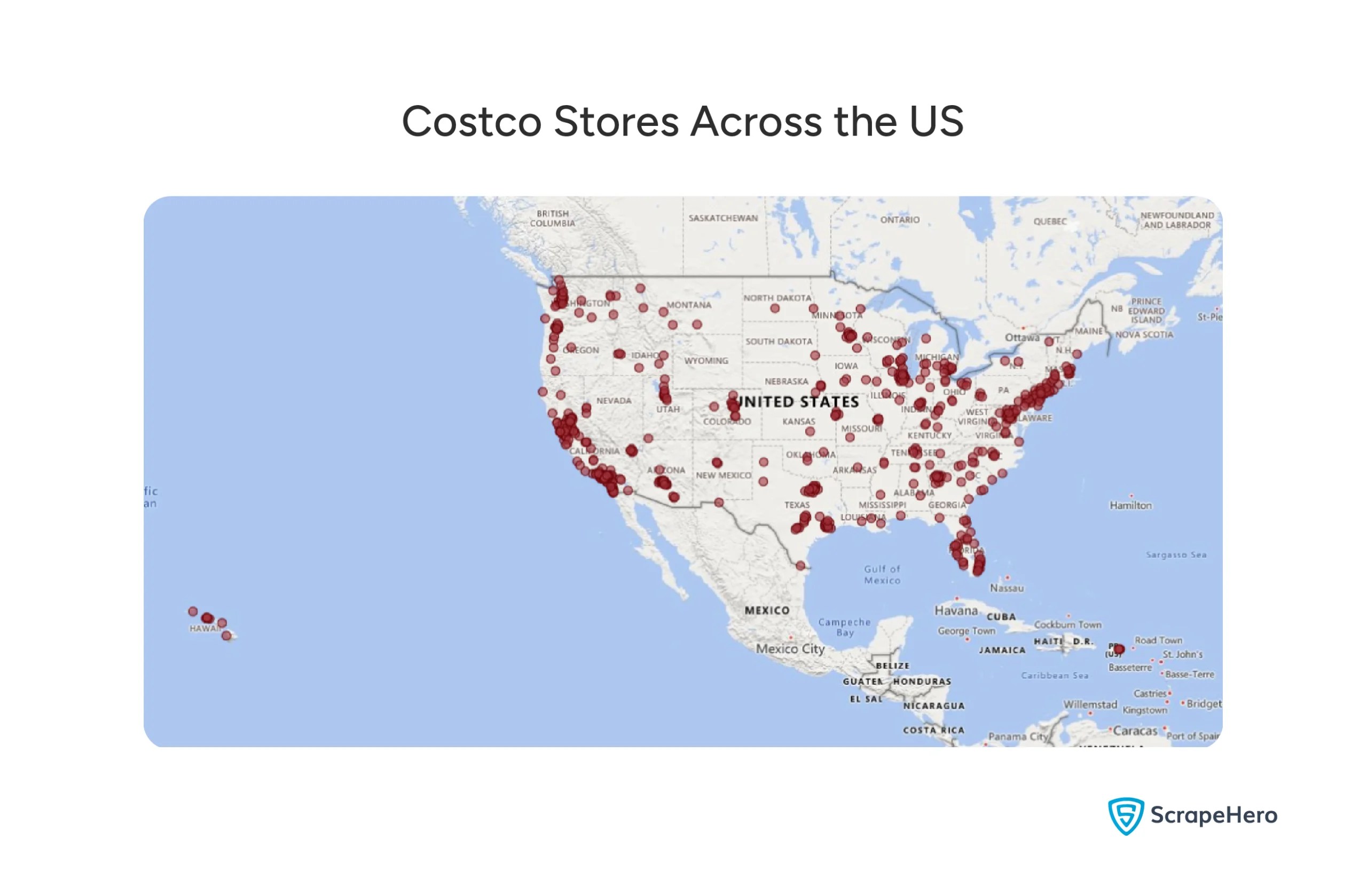 Costco US Market Analysis Location Services Revenue Costco US 02 Scaled.webp