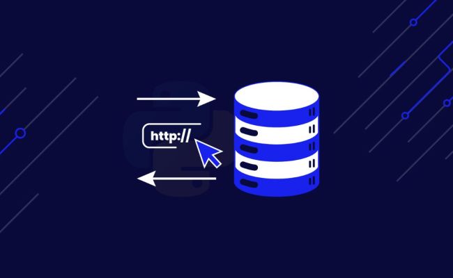 How To Use Proxies With Python Requests