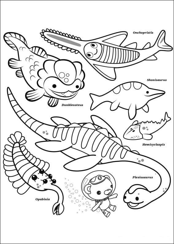 Free printable octonauts coloring pages