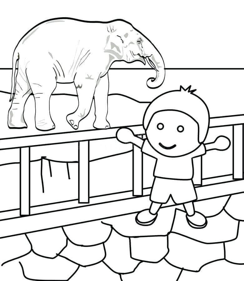 free printable zoo coloring pages for kids