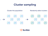 Cluster Sampling A Simple Step By Step Guide With Examples