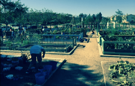 No token just a good working product. Solana Center for Environmental Innovation