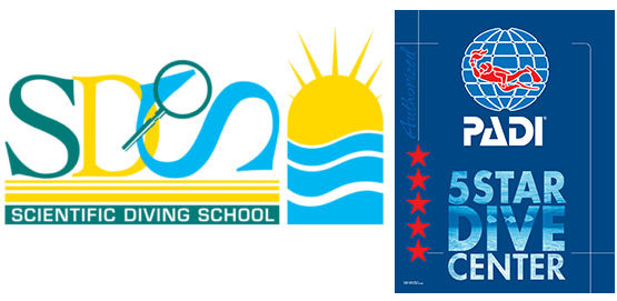 Corsi Sub Bologna - Sds - Scientific Divig School Piscina Stadio 271_x_555_png