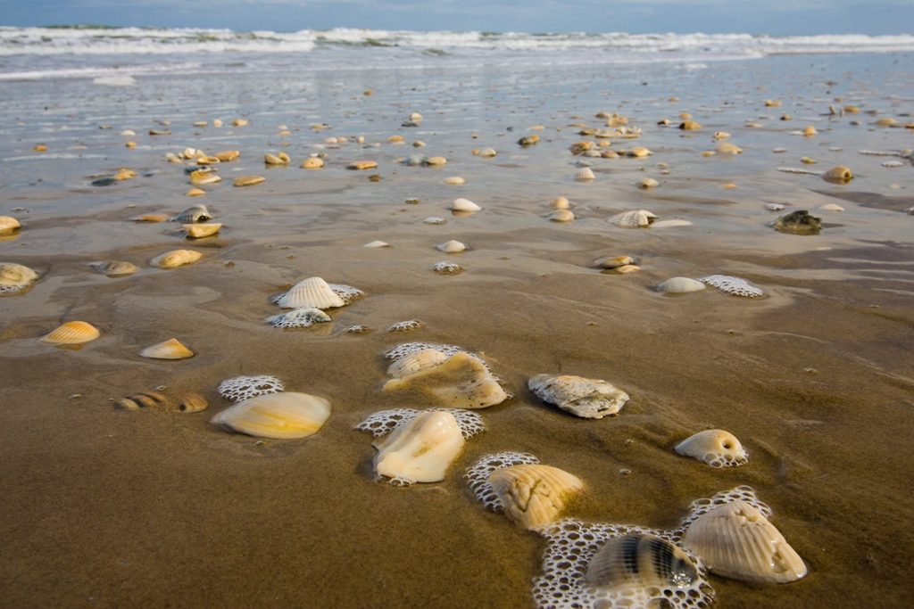 Clear south padre island water: uncovering the secret to pristine