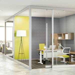 Glass Partitions
