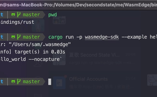 Introducing The New WasmEdge Rust SDK