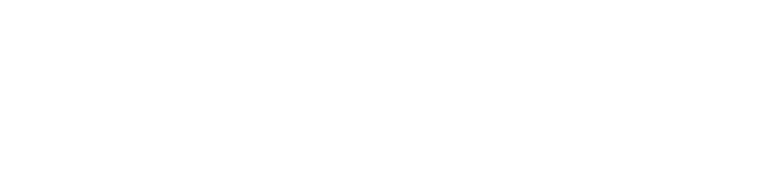 VT Insurance