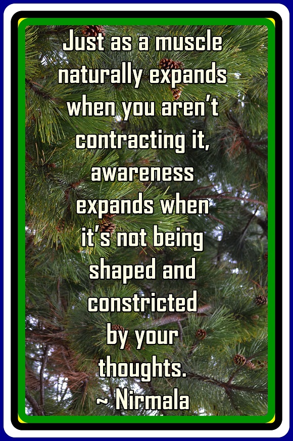 Consciousness evolves when it is not restricted by your thoughts.