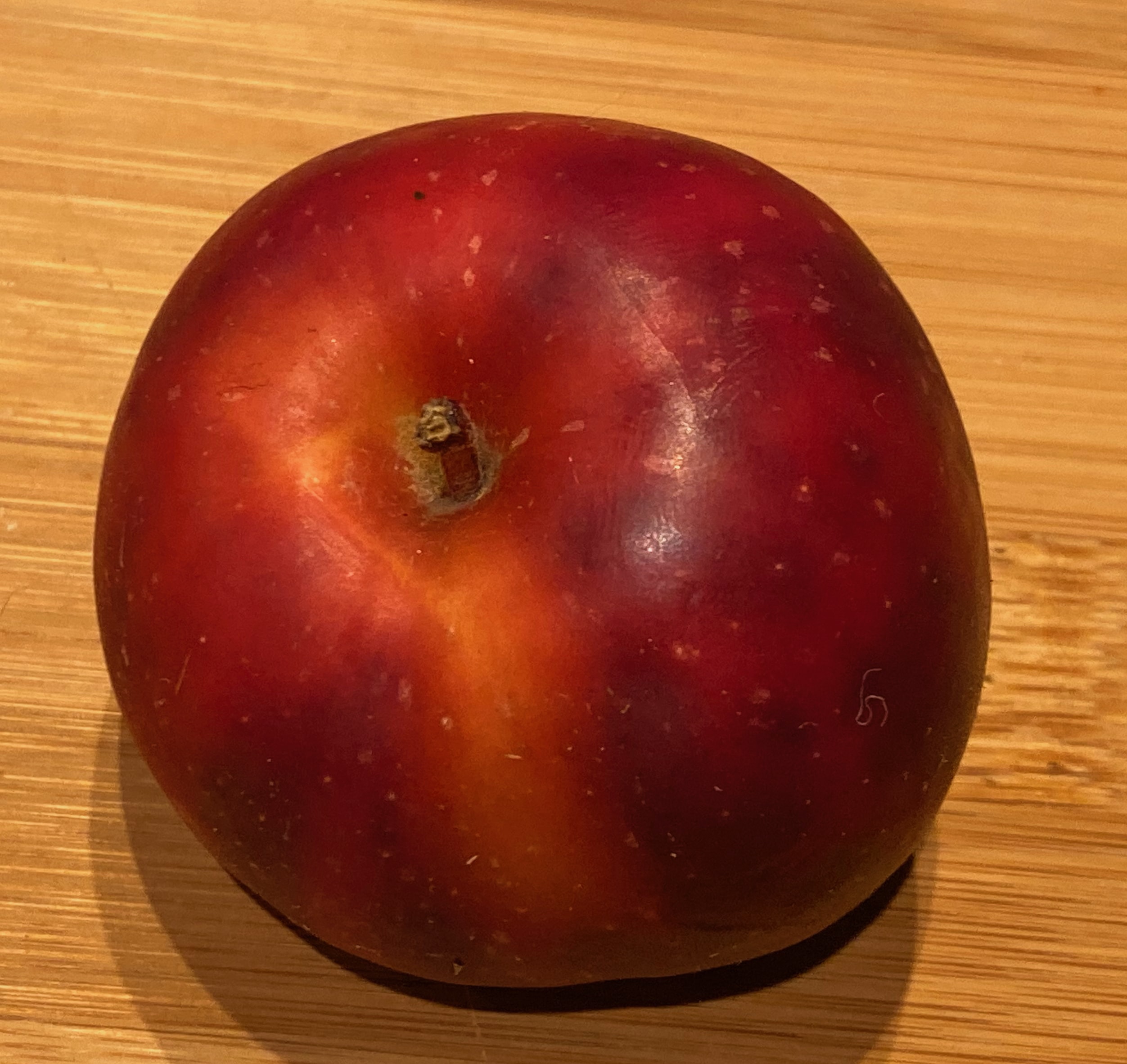 Red Gravenstein Apple Review Selective Elective