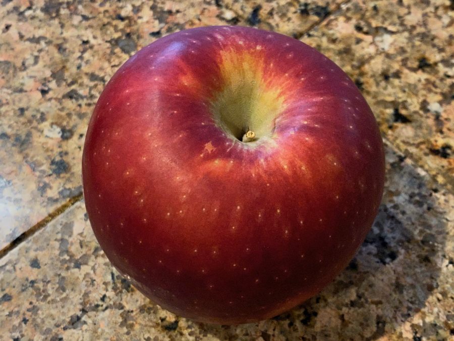 Cosmic Crisp Apple Review Selective Elective