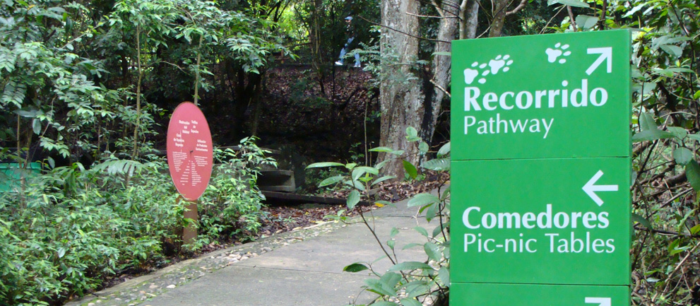 ZOOMAT visita Tuxtla gutierrez Chiapas zoologico-Miguel Álvarez del Toro