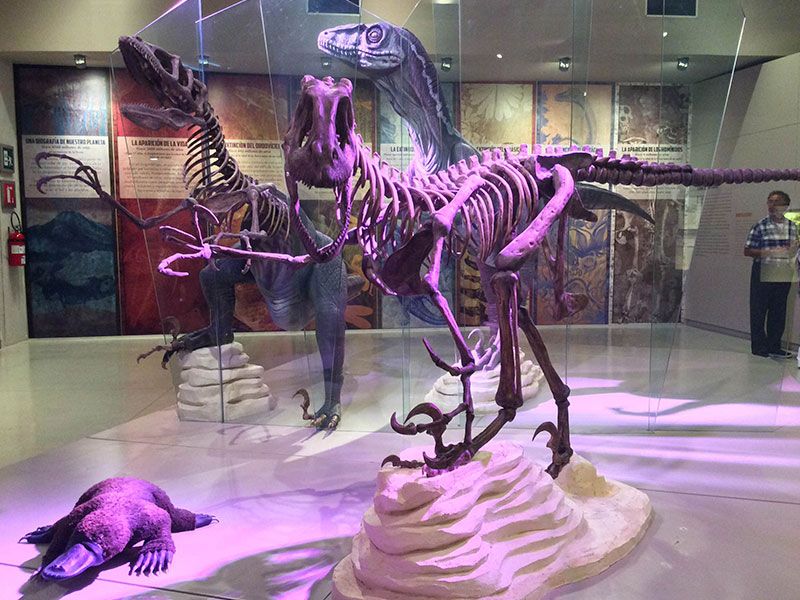 que museos hay mérida