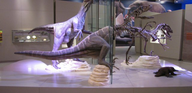 que museos hay mérida