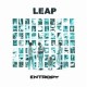 Leap Entropy