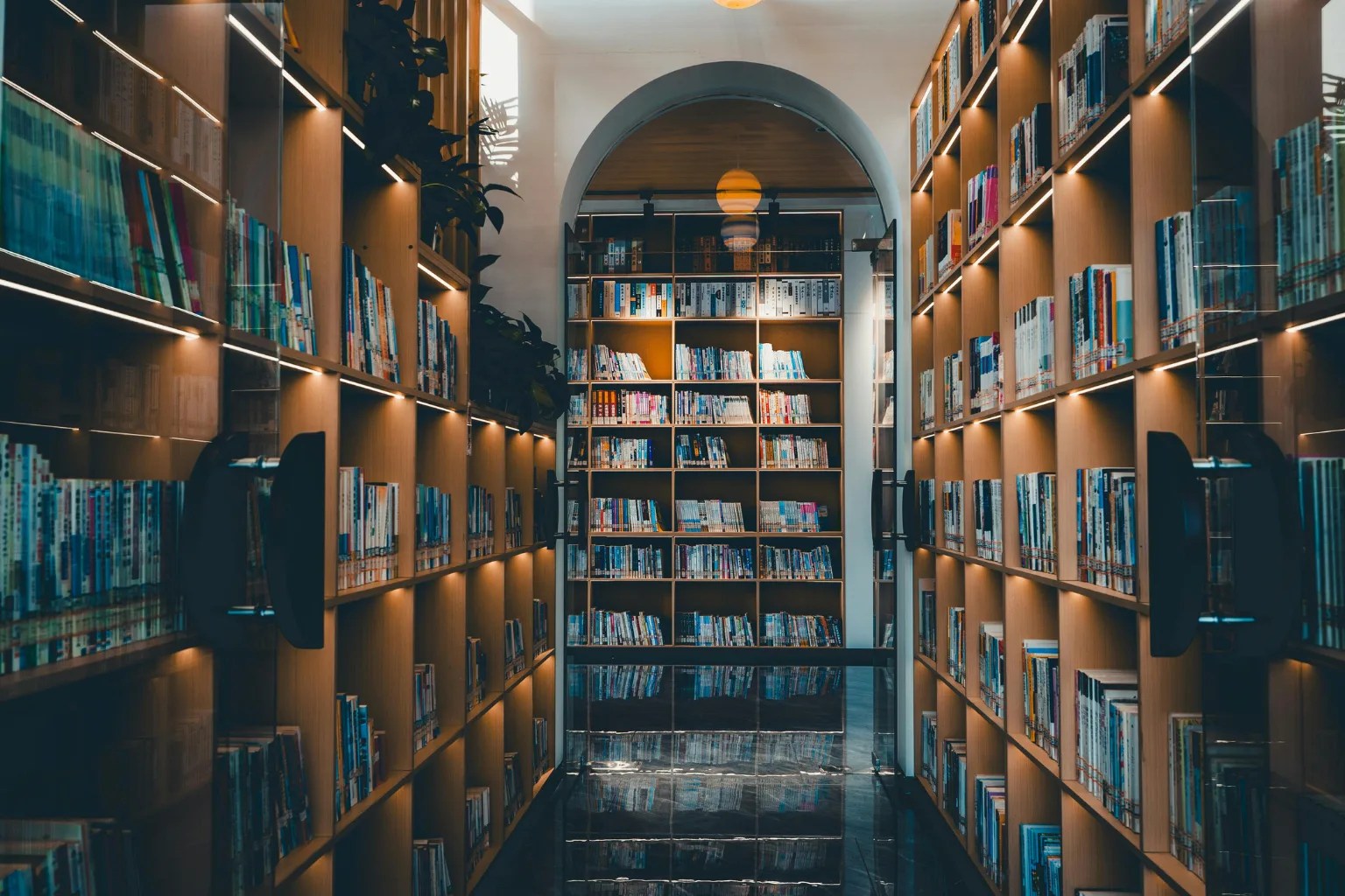dual presenece sensor for Library