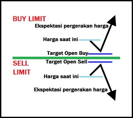 Y6 Elmx3dauc M Sebelum memasang Pending Order Anda perlu menentukan suatu level yang menjadi target eksekusi Anda.