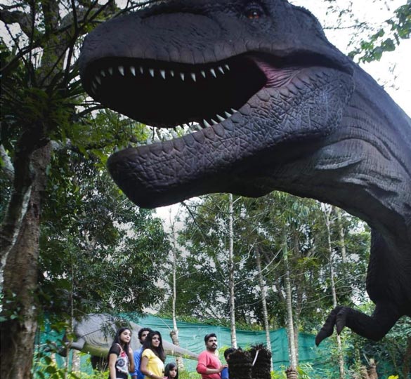 resort in wayanad for couples