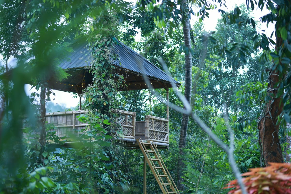 Tree house resort in wayanad for couples