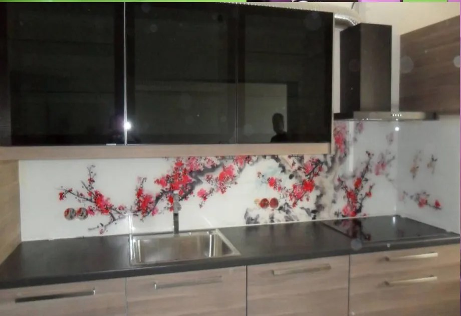 paraschizzi cucina in vetro