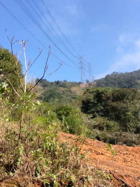 Foto: Conceição Aparecida Santos, Fazenda Santa Maria, 31/07/2014