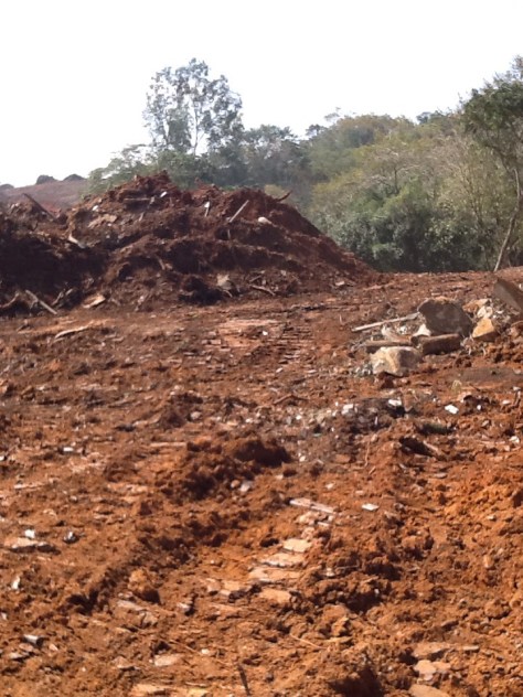 Foto: Conceição Aparecida Santos, Fazenda Santa Maria, 31/07/2014