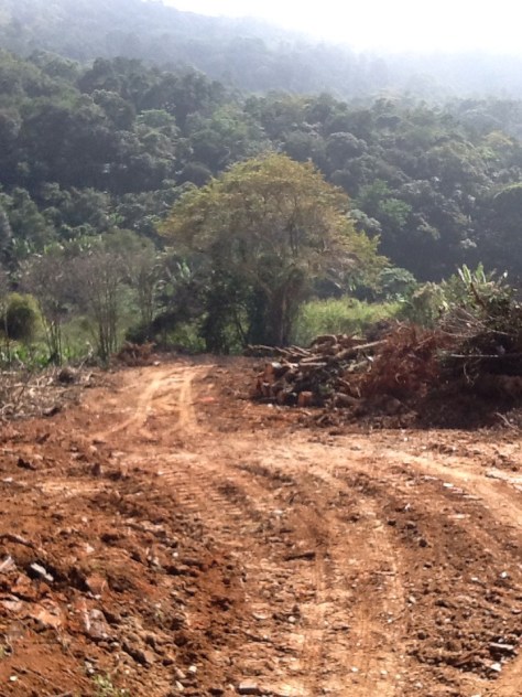 Foto: Conceição Aparecida Santos, Fazenda Santa Maria, 31/07/2014