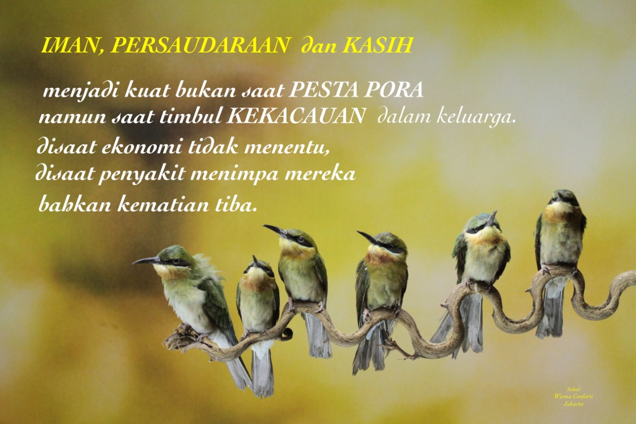 Iman, Persaudaraan, dan Kasih | SESAWI.NET