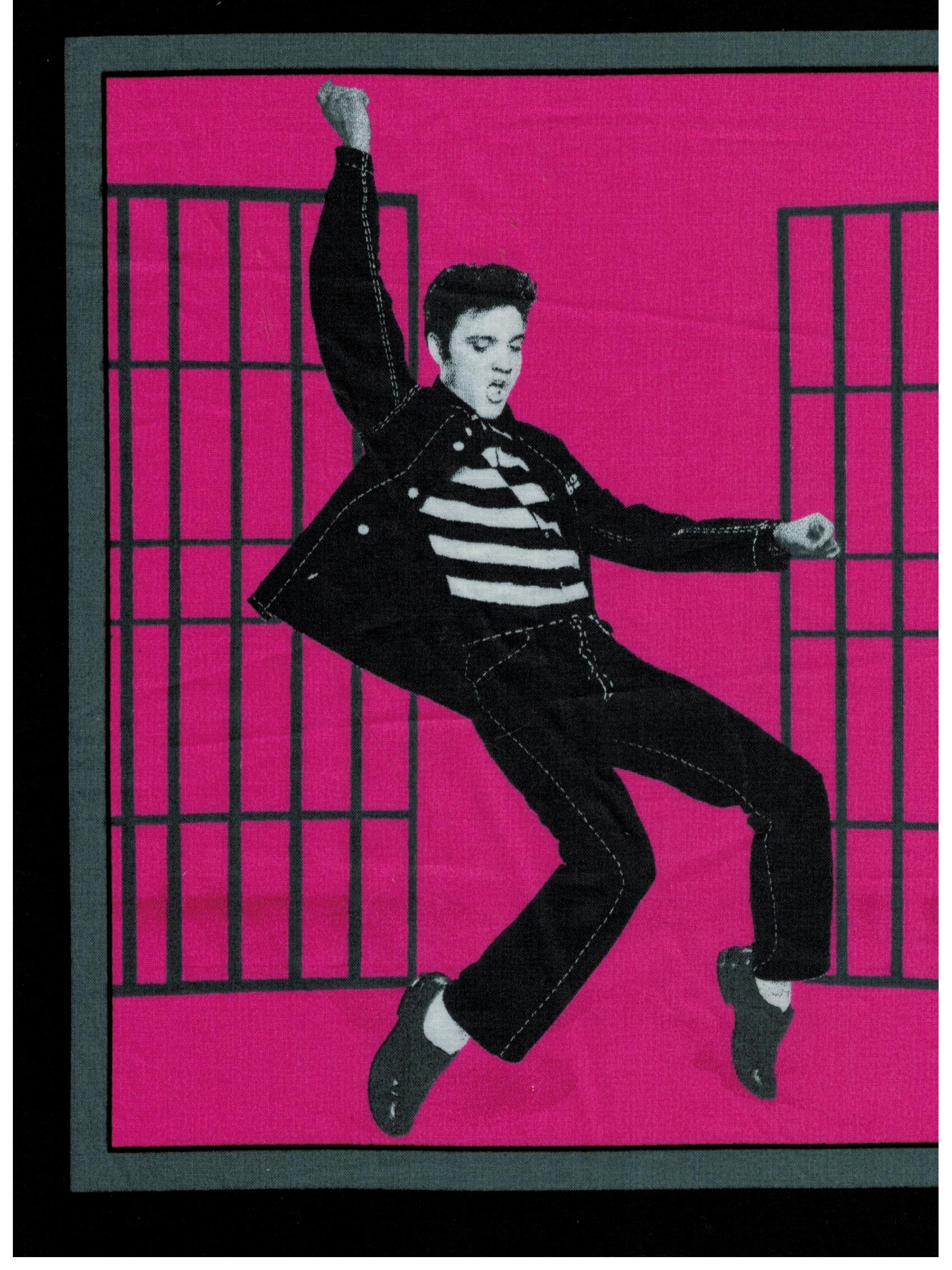 Elvis Presley Jailhouse Rock プリント生地 VIP Fabrics Elvis Jailhouse Rock Block print fabric – Sewing