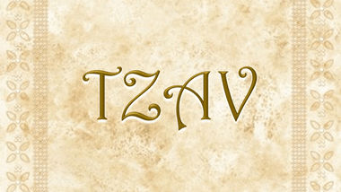 TZAV