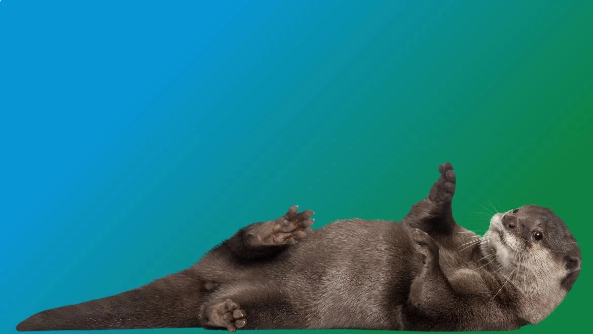 Spirit animal fox: the clever guide