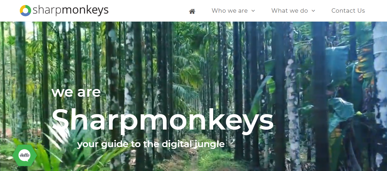 Sharpmonkeys Digital Marketing Agency Consultancy
