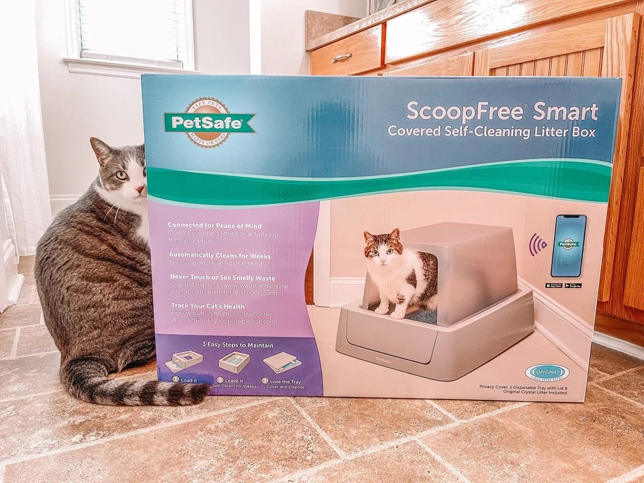 Petsafe scoopfree litter box review