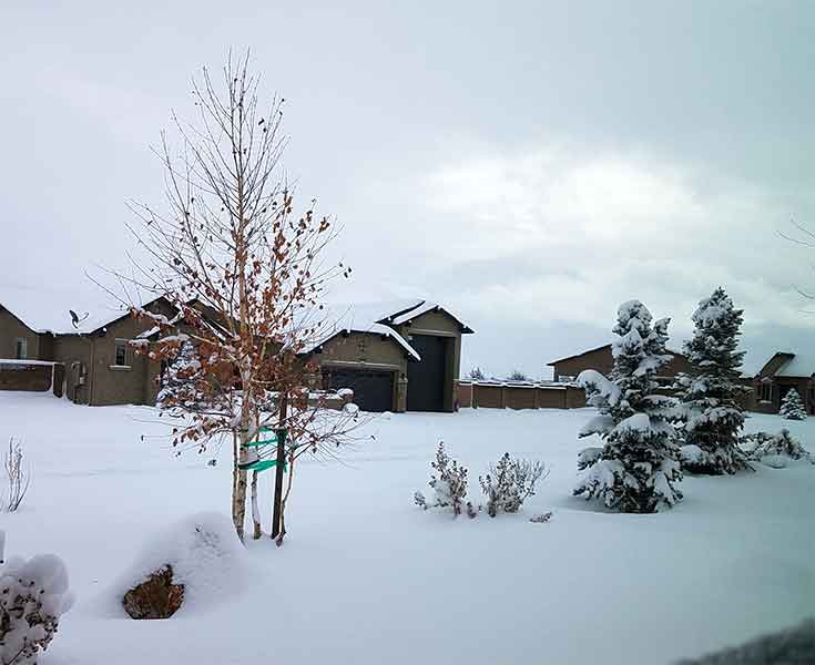 Quiet & Calm. 1.26.21, SMD.