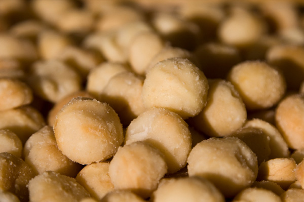 Nutrition World - High Energy Foods | Facebook