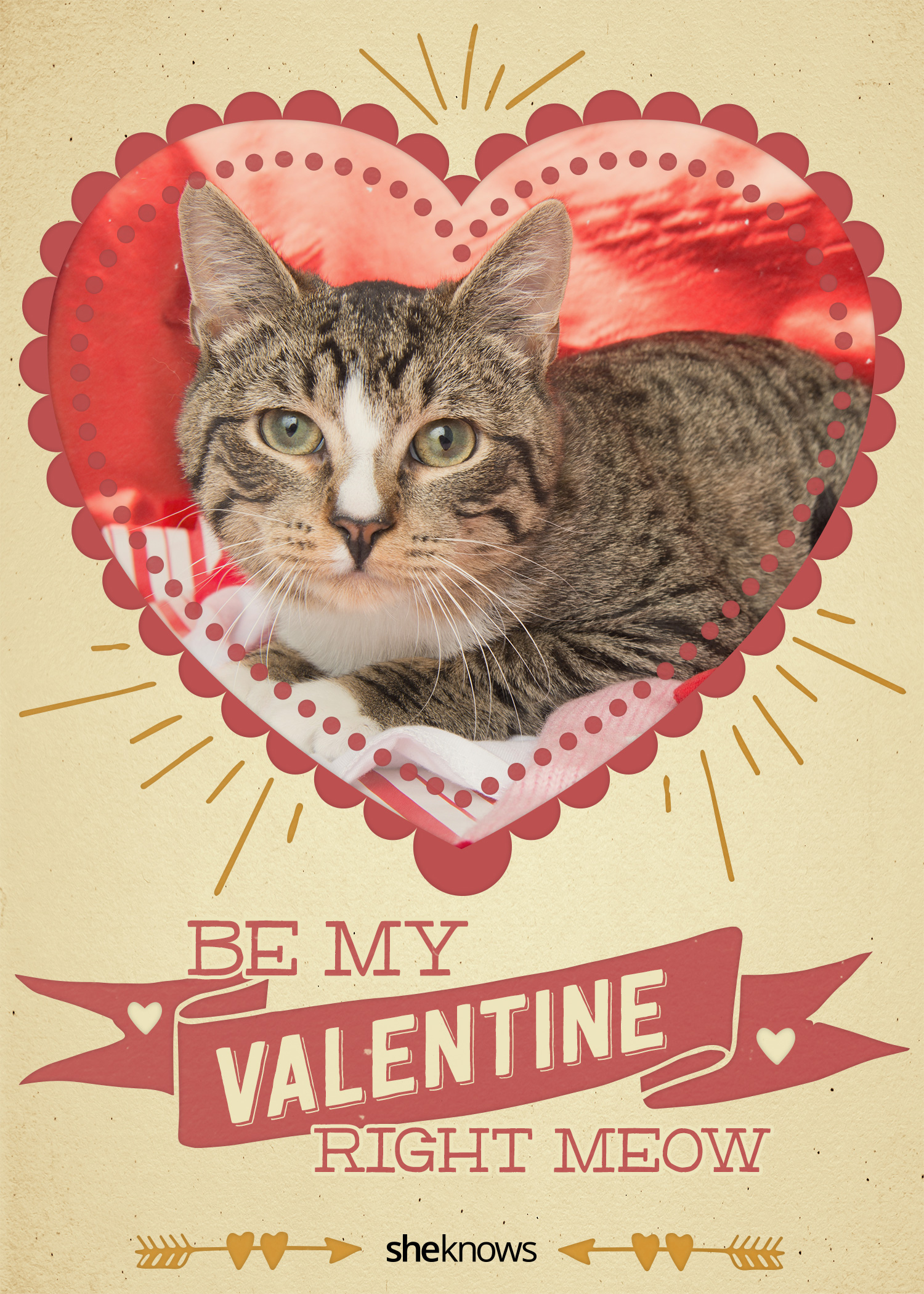 Printable cat valentine
