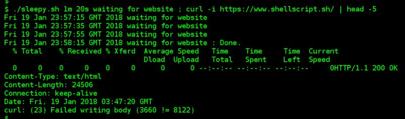 Shell Sleep Shell Sleep Csdn - Download Creative Colorful Pattern | Desktop