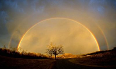 ZG_TruthOrDenialRainbow